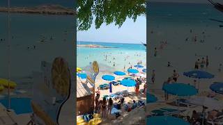 FIG TREE BAY CYPRUS figtreebay protaras cyprus shorts [upl. by Maren140]