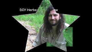 DIY Herbs Marshmallow the Demulcent Plant with Jim McDonald [upl. by Bobbe]