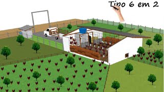 Projetos e planejamento de PIQUETES na criação de GALINHAS [upl. by Durkee854]