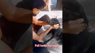 funny comedy full body massage 😂😂 [upl. by Elodia703]