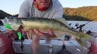 Parksville Lake Walleye [upl. by Yelyah]