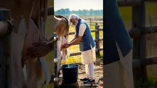 When Narendra Modi gets milk from cows Narendra Modi farming animatedcartoon [upl. by Eilak]