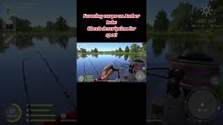 Carps farming on Amber Lake Russian Fishing 4 rf4 russianfishing4 russianfishing4spots [upl. by Nuriel]