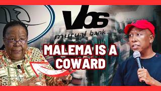 DR Naledi Pandor GUNS For Julius Malema Over VBS LIE [upl. by Nylegna]