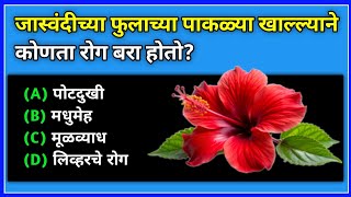 जास्वंदीच्या फुलाच्या पाकळ्या खाल्ल्याने कोणता रोग बरा होतो gk  gk questions  general knowledge [upl. by Ahtel]