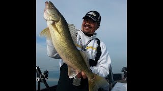 Part 1 of Catching Big Walleyes on Lake Erie [upl. by Undry430]