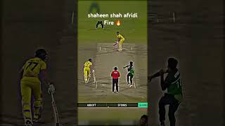 shaheen shah afridi 🔥 cricket shaheenafridibowling cricketlover shaheenbowling psl babarazam [upl. by Elsilrac362]