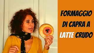 FORMAGGIO DI CAPRA A LATTE CRUDO scopriamo l’unica DOP d’Italia 100 capra [upl. by Corabelle]