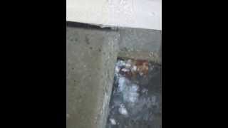 Richmark Gutter Company  Piss Poor WorkBEWARE [upl. by Lorilee]