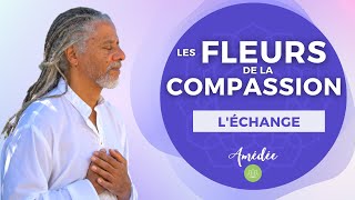 Les fleurs de la compassion  Léchange [upl. by Halsey]