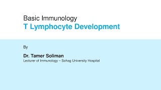 Dr Tamer Soliman  Basic Immunology  T Lymphocyte Development [upl. by Aihcsrop]