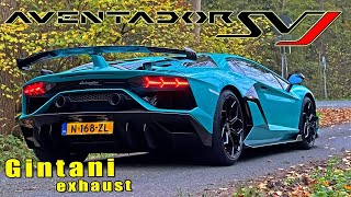 Lamborghini Aventador SVJ Gintani  334KMH 209MPH REVIEW on AUTOBAHN [upl. by Nuzzi]