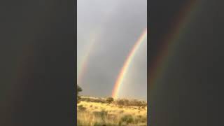 At Uluru Australia An auspicious sign affirming the sacredness of Zangdokpalri [upl. by Drusi]