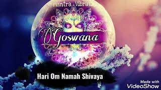 quot Hari Om Namah Shivayaquot Chant Mantra extrait New Album quot Mantra Vibrationsquot  Goswana [upl. by Derby]