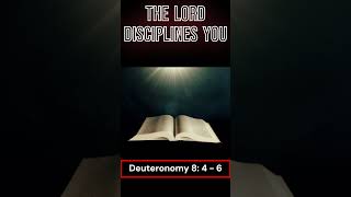 THE LORD DISCIPLINES YOU 1 SHORTS 280 TRUTH LORD DISCIPLINES YOU [upl. by Xonnel415]