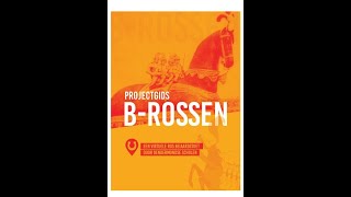 B Rossen virtuele stoet Dendermonde [upl. by Coplin]