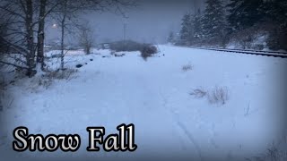 Snow Fall of 2023 [upl. by Sass]