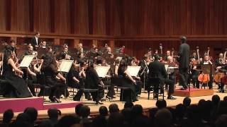 Brahms Symphony No 4  1st Movement [upl. by Medlin313]