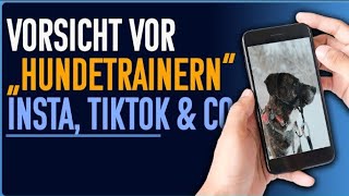 Hundetraining auf Instagram und TikTok  fahrlässig und gefährlich [upl. by Mavra]