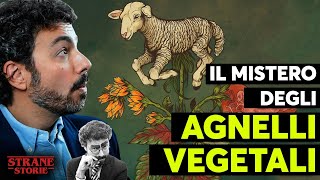 Il MISTERO degli agnelli vegetali [upl. by Hanus]