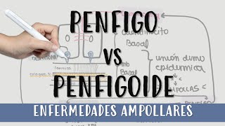 EnfermedadesAmpollares AMPOLLAS Bulas UnionDermoEpidermica PENFIGO O PENFIGOIDE [upl. by Haimehen702]