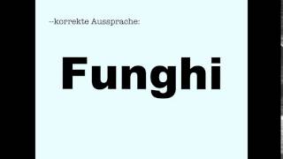 Korrekte Aussprache Funghi [upl. by Hourigan]