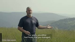 Monongahela National Forest Landscape Restoration [upl. by Morrill786]