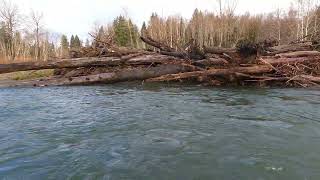 BOGACHIEL RIVER DRIFT BOAT FISHING [upl. by Uamak]