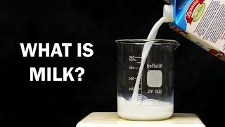 What is Milk made of [upl. by Aihsenal743]