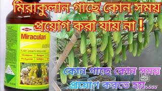 মিরাকুলান miraculanকোন সময় প্রয়োগ করা যায় না কোন সময় প্রয়োগ করতে হয়  miraculan use bengali [upl. by Ynnod]