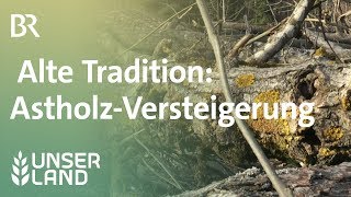 Alte Tradition Versteigerung von Astholz  Unser Land  BR Fernsehen [upl. by Lovering]