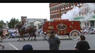 Morecraft steam calliope 2009 Circus City Parade [upl. by Elwee]