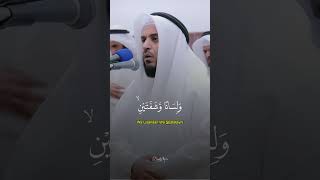 Beautiful Quran Recitation [upl. by Wells376]