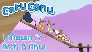 Caru Canu  I Mewn ir Arch Welsh Childrens Song [upl. by Acinod]