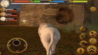 Wild Lion Simulator 3D Cecil The Lion’s Picture On The Rock By Gluten Free Games [upl. by Poler]