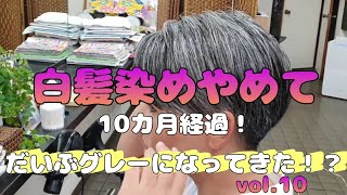 【グレイヘア移行】白髪染めやめて10カ月経過。だいぶグレーになってきたｶﾅ？ [upl. by Yehtomit]