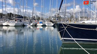 LA TRINITÉSURMER  Le Port à la Toussaint  Bretagne Télé [upl. by Xylia723]