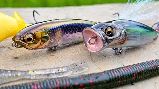 Bait Finesse Tricks For Spring And Summer Bass Fishing  Karashi Popper Soft Jerkbait [upl. by Vally]