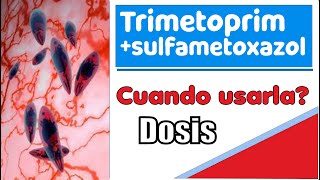 sulfametoxazol  trimetoprim para que sirve efectos cuando usarla [upl. by Tarrant]