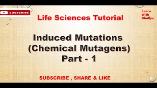 Mutations  Induced Mutations  Genetics  Mutagens  Chemical Mutagens  Base Analogs Part 1 [upl. by Trebloc]