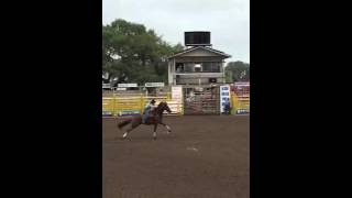 Famous Charm placing Goliad TX PRCA [upl. by Kristine]