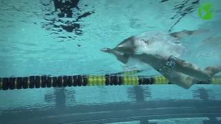 Michael Phelps training ✪swimming tips ✪ live part 9 🏆 Breaststroke Drills [upl. by Jaddo]