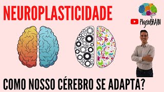 NEUROPLASTICIDADE possibilidade do cérebro se transformar ao longo da vida VOCÊ JÁ OUVIU FALAR [upl. by Frantz978]