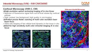 EN IVIM Technologys IntravitalMicroscopyPresentation [upl. by Gans178]