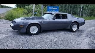 Holley Sniper EFI install on 53 LS in 81 Trans Am [upl. by Iene671]