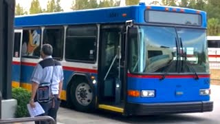 Get around Disney World the BEST way with DISNEY BUSES [upl. by Herrle773]