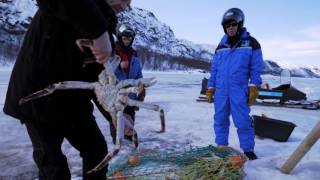 Kirkenes Snowhotel  King Crab Winter Safari [upl. by Ancelin522]