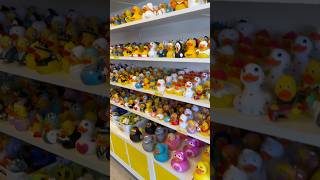 duck ducks rubberducks rubberducky toyreview toysvideo uniqueshorts [upl. by Akinal]