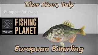 Fishing Planet European Bitterling Tiber River Italy [upl. by Midas292]