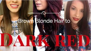 How To Dark red hair from Blonde brown  Loreal PARiS Preference Mousse Absolue [upl. by Linetta]